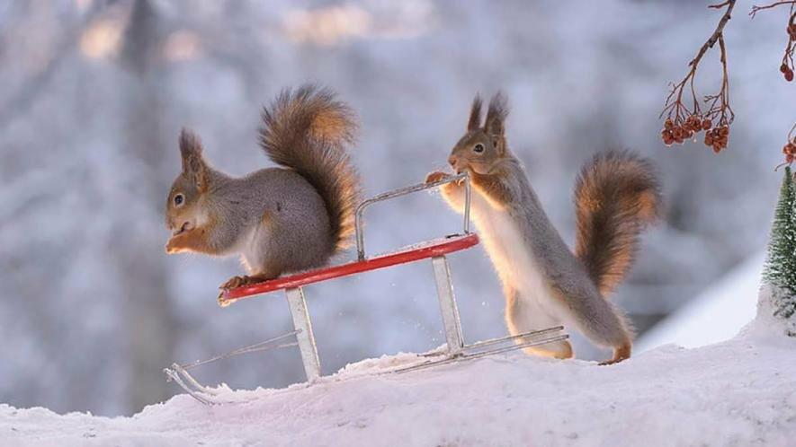  ������� ����� ������ ���������� -15 ������� 