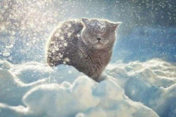 ����: 0542.ua