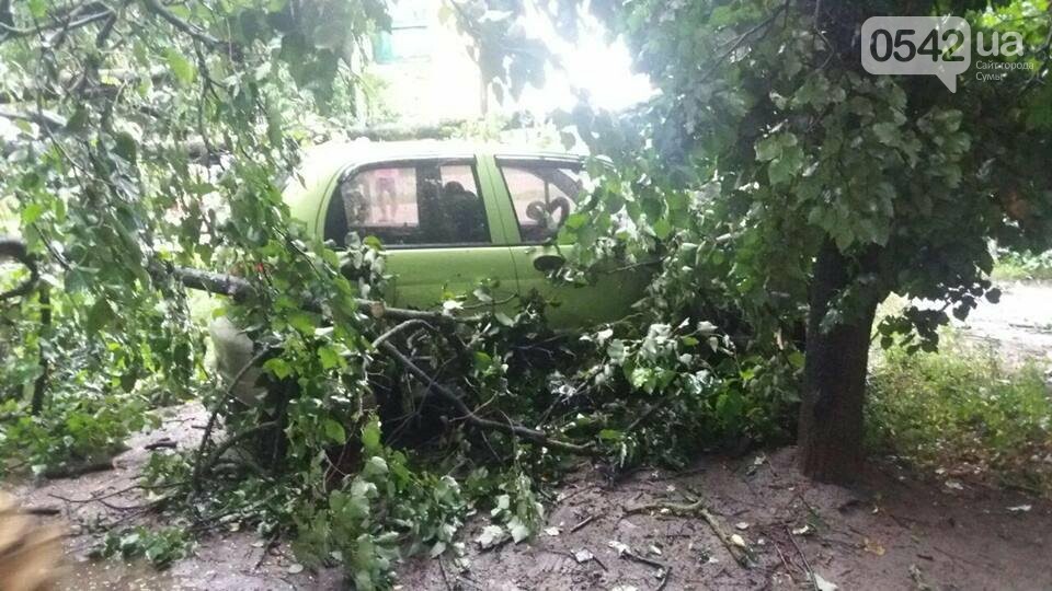 ����: 0542.ua