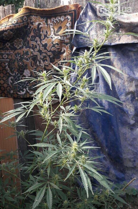  �������� ��������� ������� ������� 