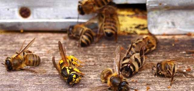 ����: 0542.ua