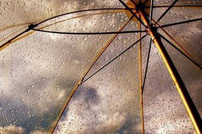  ����� ������������ ����� ������� ���� 