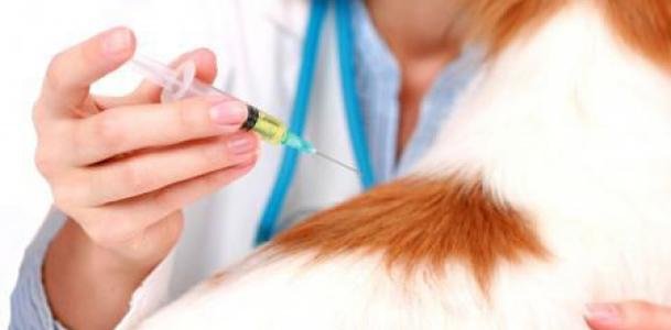  ������� ��������������� ����������� �������� ��������� 