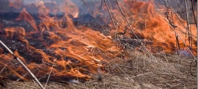  ��� ������� ����� �������� ��������� 