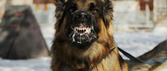  ��������� ������ ��������� ����� ������� ����������� ����������� 