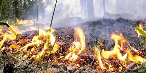  �������������� �������� ��������� ������� 