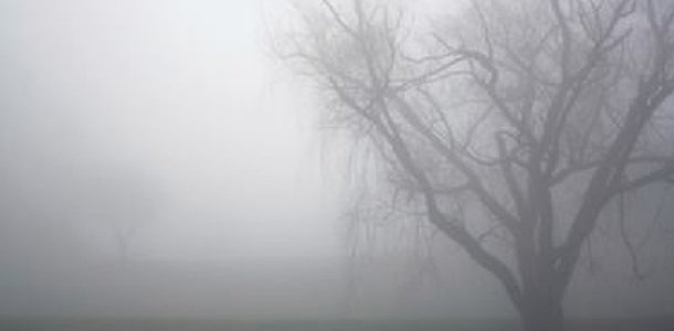  ���� ������� ����� 