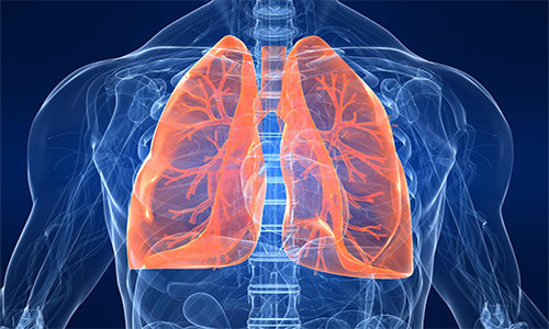 ����: 0542.ua