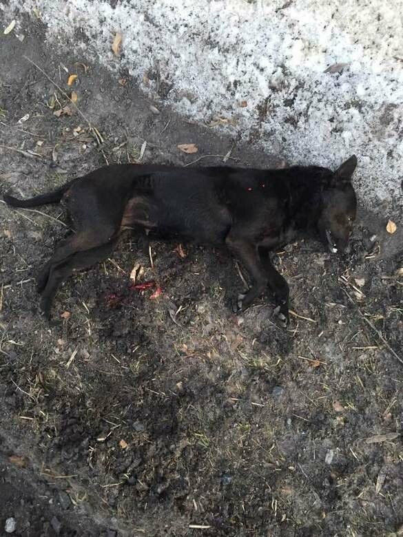  ��������� ����� ���� ����������� ����� 