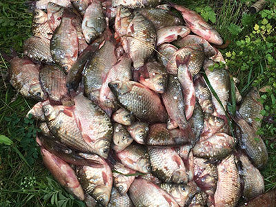 ����: 0542.ua