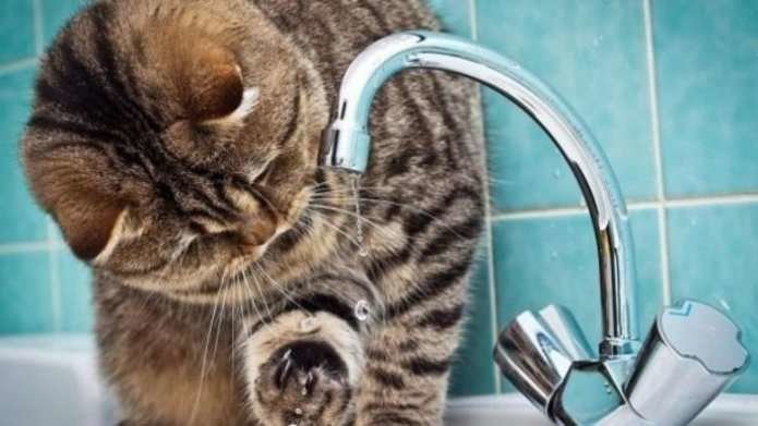 ����: 0542.ua