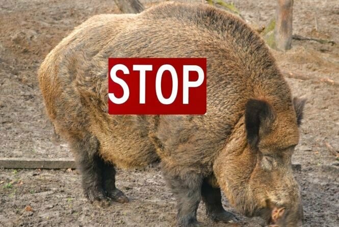 ����: 0542.ua