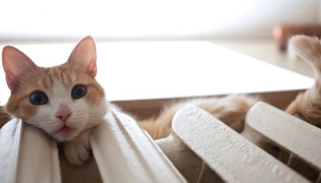 ����: 0542.ua