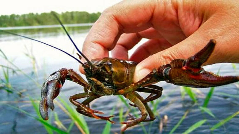  ���� ���� ��� ����� ����� ������ ������ 