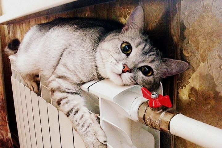 ����: 0542.ua