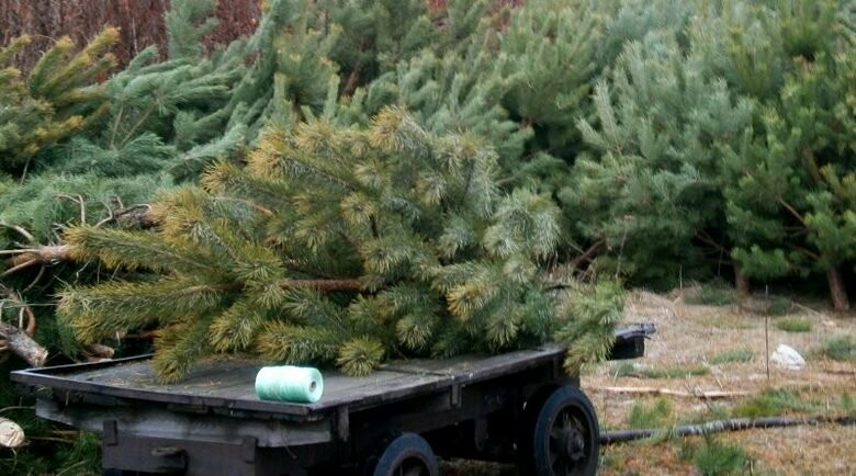  ������ ��� ������ ������ ������ ��������� ������ ����� 