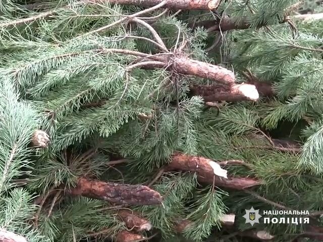  ������ ������ ������ ���� ������ ����������� ������ ����������� 