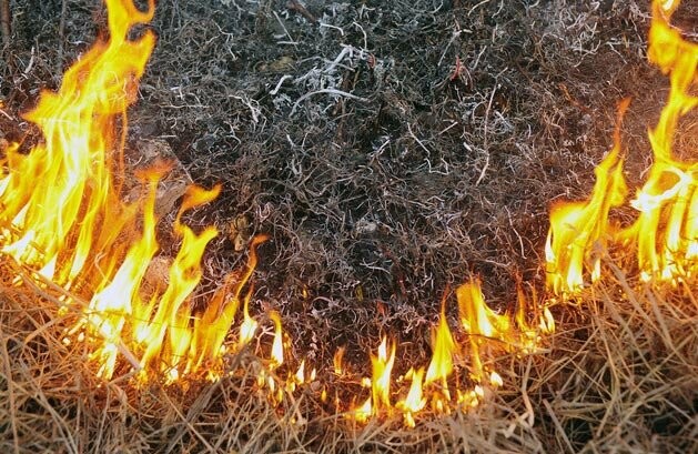  ������ ��� ���������� ����� ������� ����� 