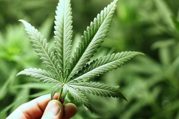  ������ ������ ���� ����� ����������� ���� ����� ����������� 