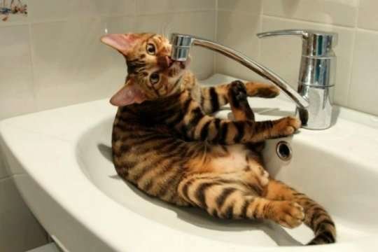  ��������� ��� ����� ������ ��������� ���� 