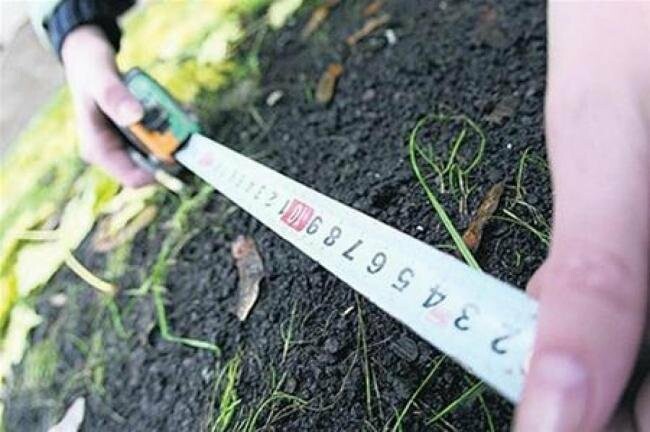  ������ ����������� �������� ��������� �������� ����� ��� 219 