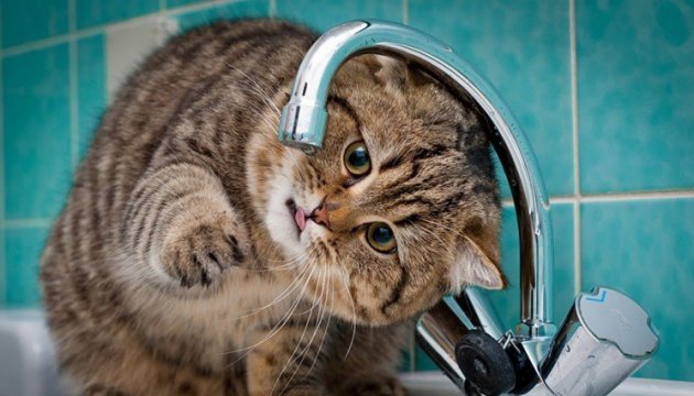  ��������� ����� ��� ����� ��������� ���� 