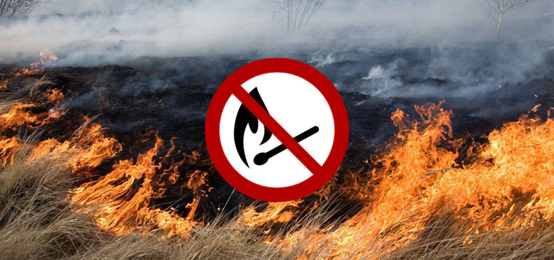 ����: 0542.ua