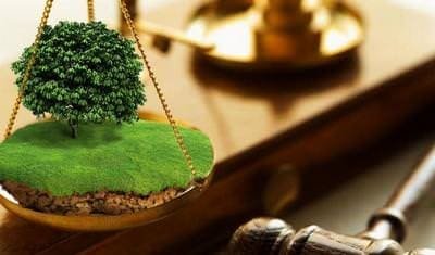  ������ ����������� ������ ���������� ����������� ������� 262 ���� 