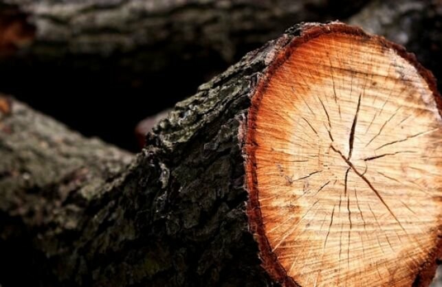 ����: 0542.ua