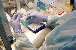  ������ ��� ��� ��������� covid-19 ������ ��� 