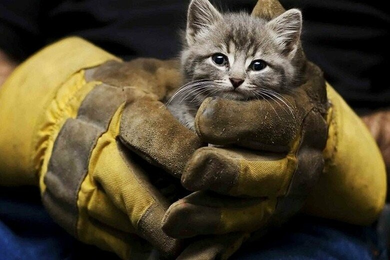 ����: 0542.ua