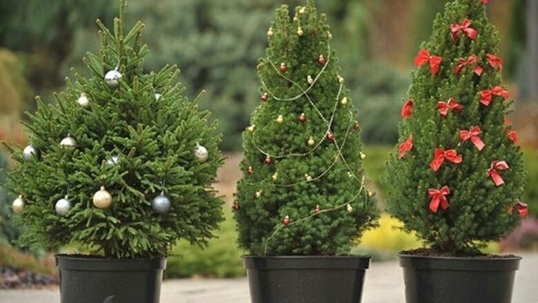 ����: 0542.ua