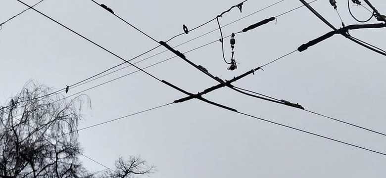  ����� ���������� ��������� ��� 