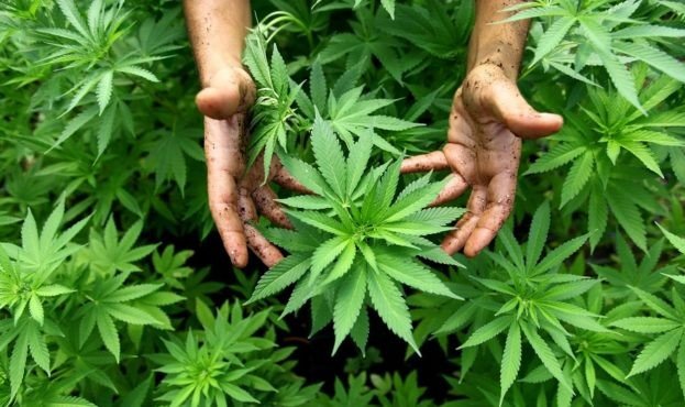 ����: 0542.ua