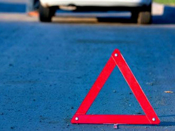  ������ ���� ���� ���� ������� ���� ����� �������� 