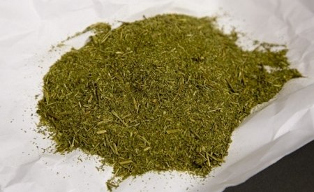  �������� ������ ������ ��������� ���� 