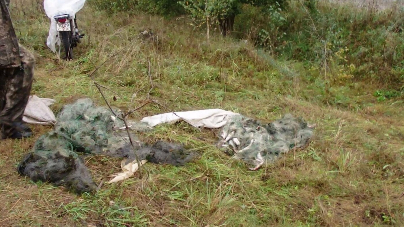  ������ ������� �������� ����� ���������� ������� 