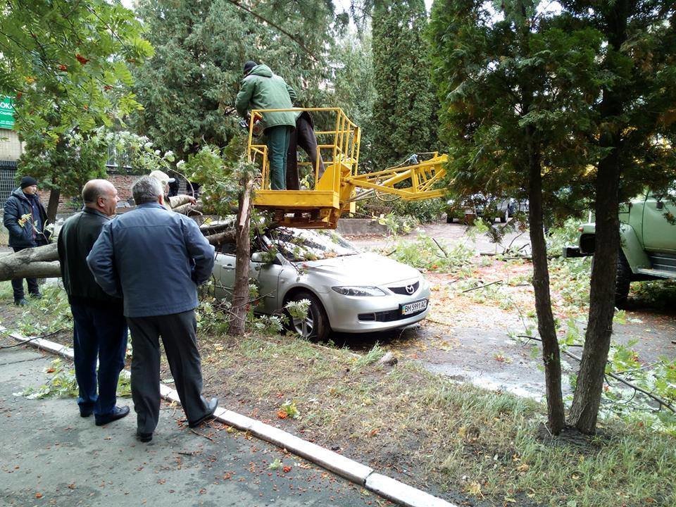  ����� ������ ����� �������� 