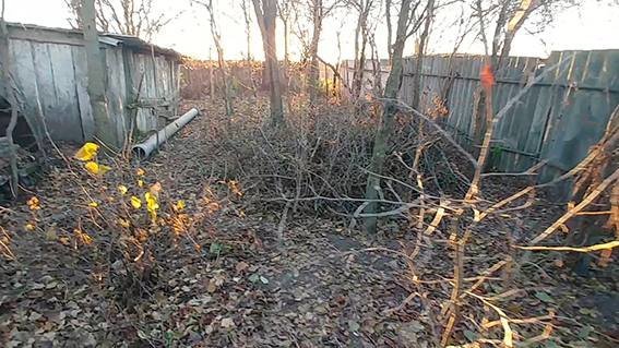  ������ ������� ������� ���� ���� ����� ������ ����� 