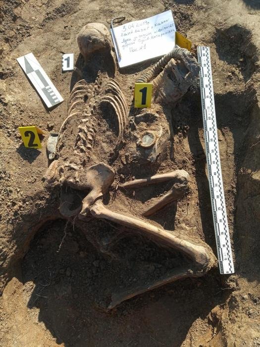 ����: 0542.ua