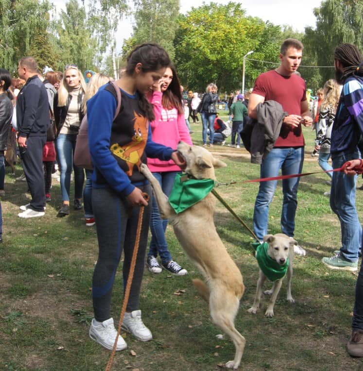 ����: 0542.ua