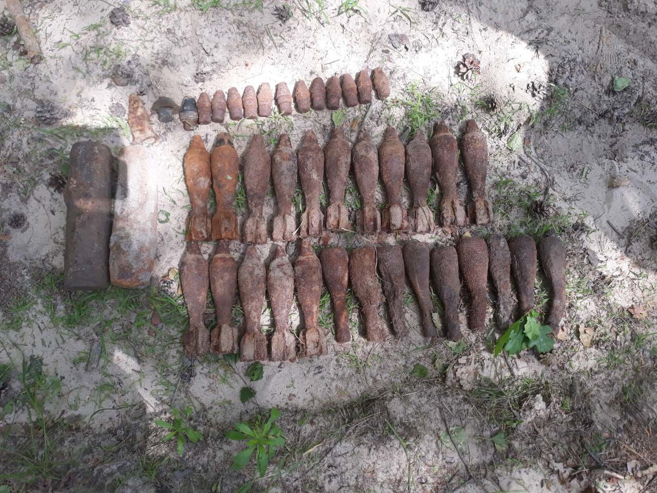  ������� �������� 290 ����������� ������ ������� ���� 