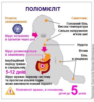  ������ ���������� ����������� ����� 