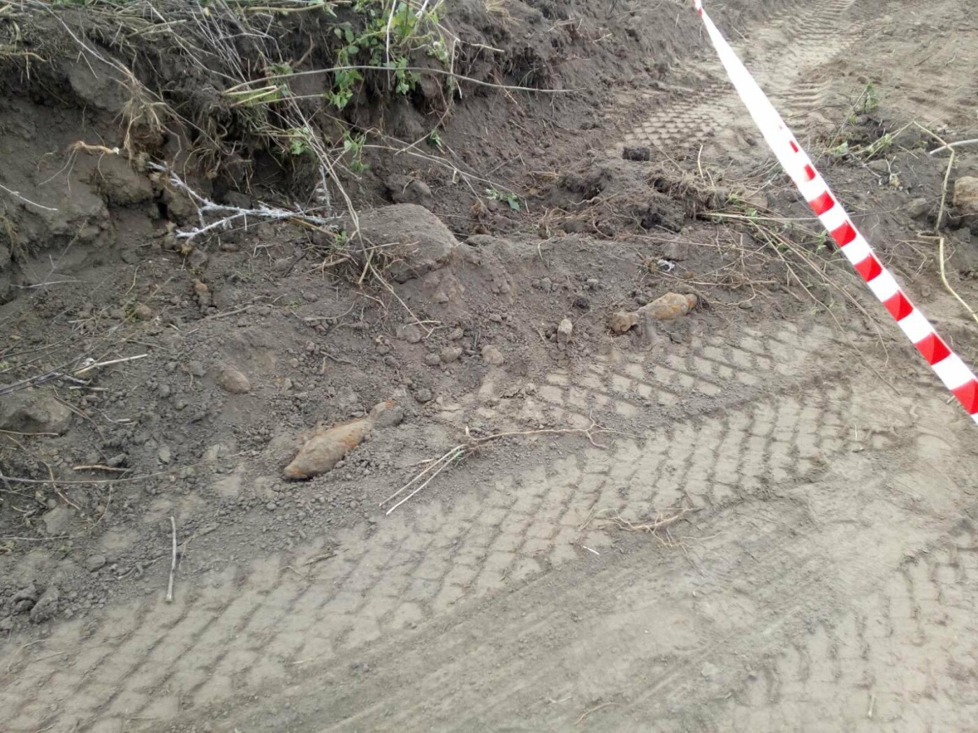  ������� ������� ������ ���� ������� ����������� �������� 