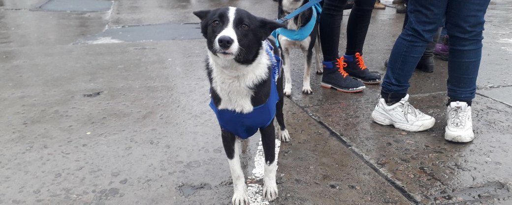  ����� ��� ��� �������� ������ ������� ����� 