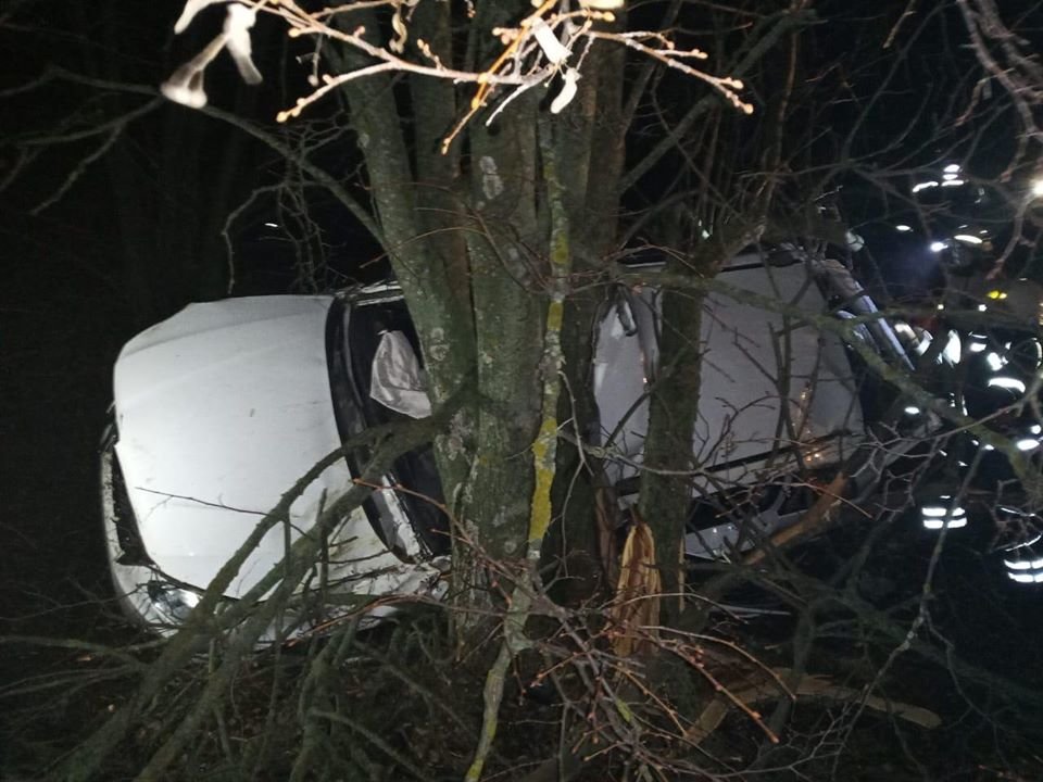  ������ ������� ���������� ���� 