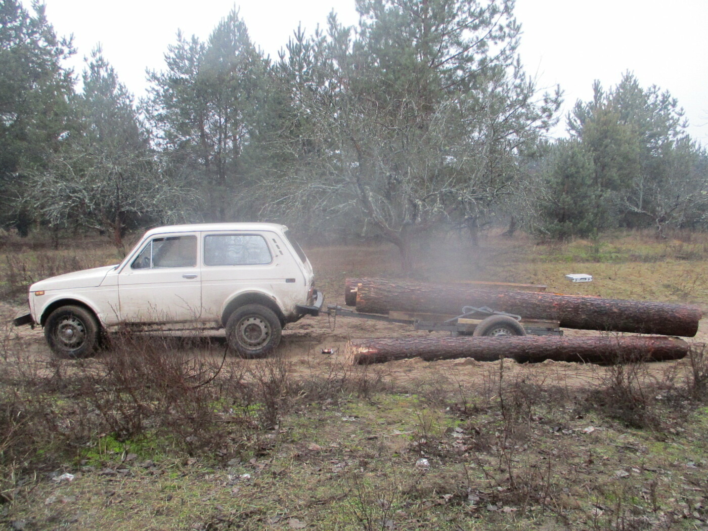  ����� ����� �������� ���� ����� ������ ����� ������� 