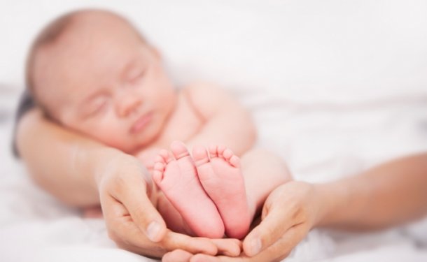  ����� ������ ���� 