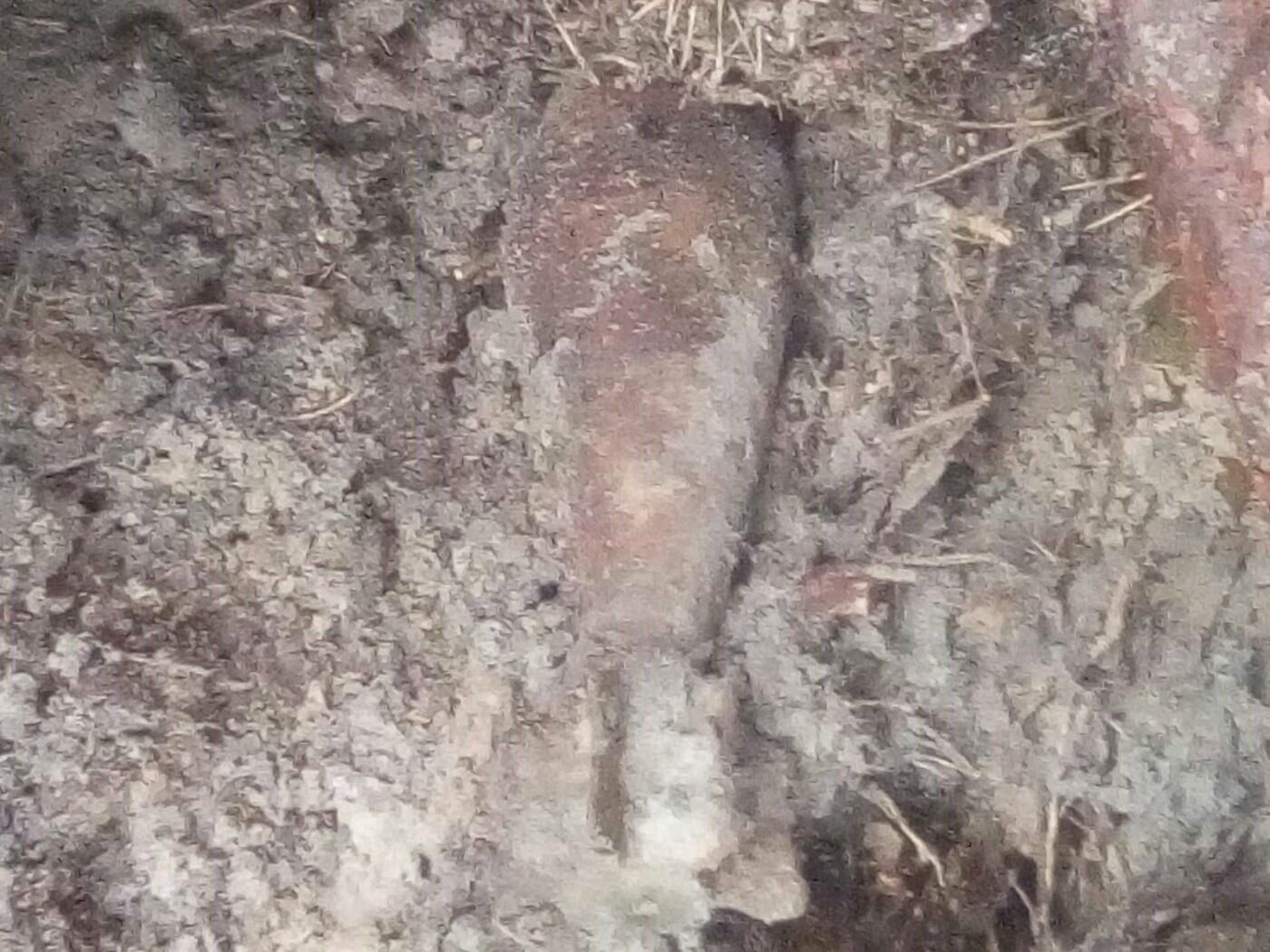  ������ ������ ���� ������ �������� ����������� 