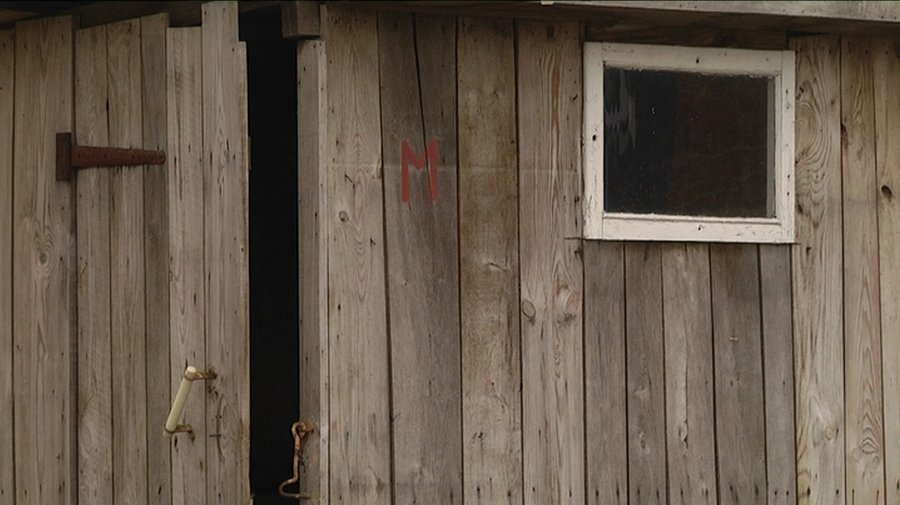  ���� ������ ������ ������ ������ 